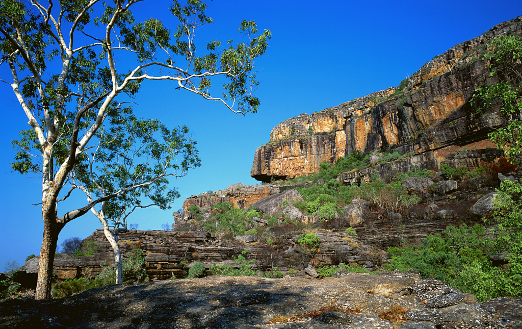 kakadu cruise tours